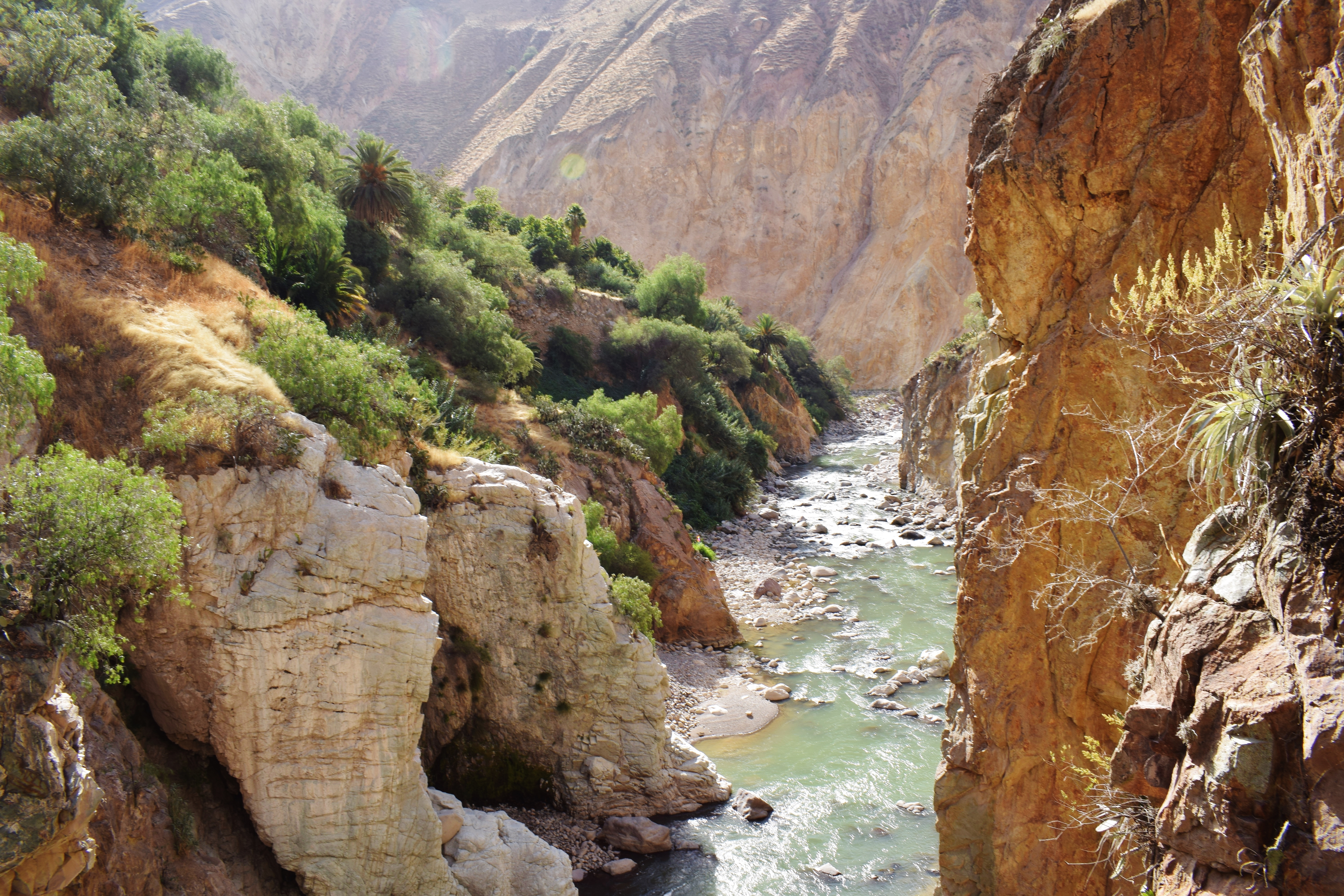 Pérou Canyon de Colca